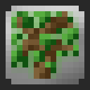 Sapling Infuser
