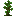 Jungle Sapling