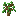 Oak Sapling