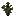 Spruce Sapling